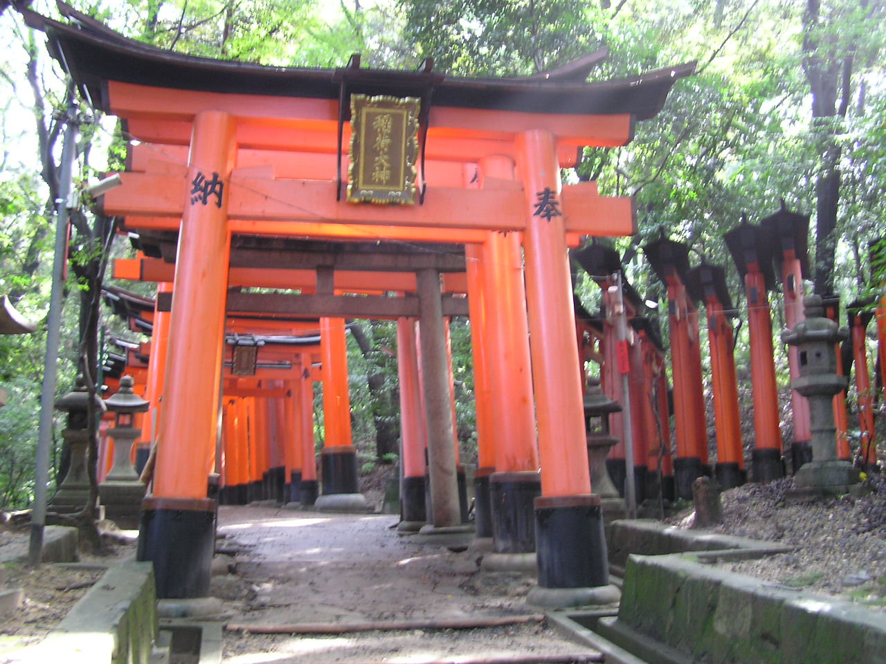 Journey Inward, Circle of Control and New Year’s Resolutions